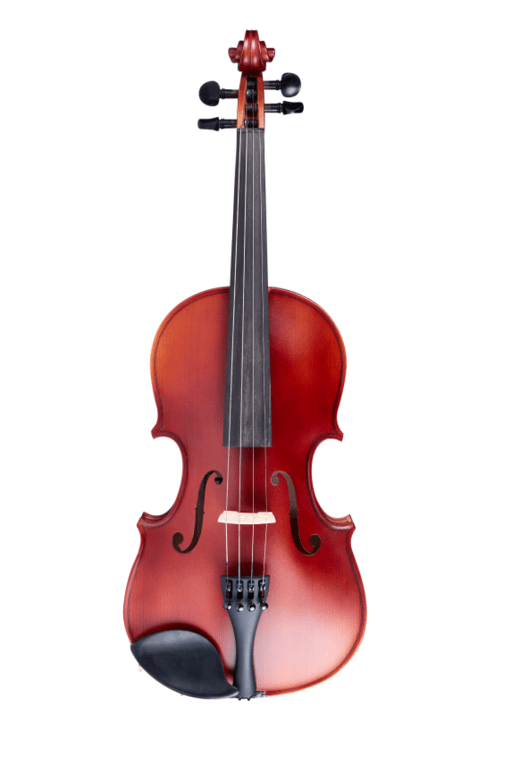 Студенческие скрипки
